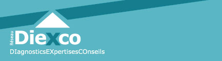 logo-diexco